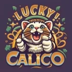 Calico Casino